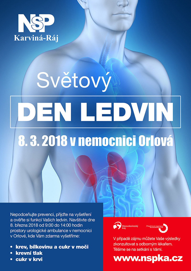 20180225 dooffy plakat nspka den ledvin A3 orlova small
